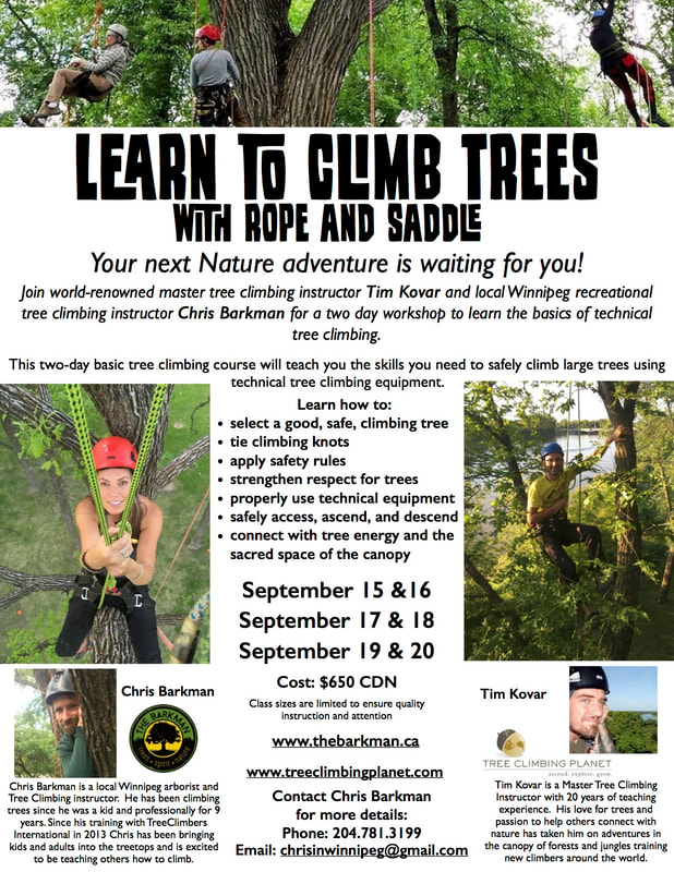 Learn to climb trees with rope and saddle